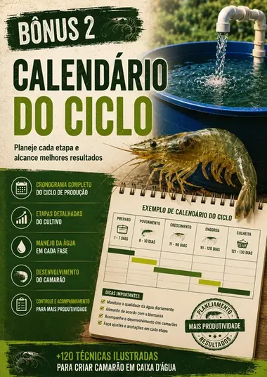 Calendário do Ciclo
