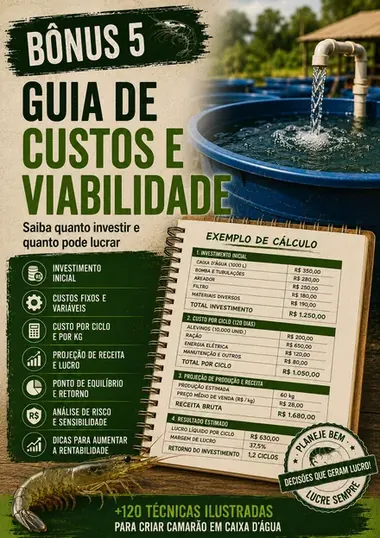 Guia de Custos e Viabilidade