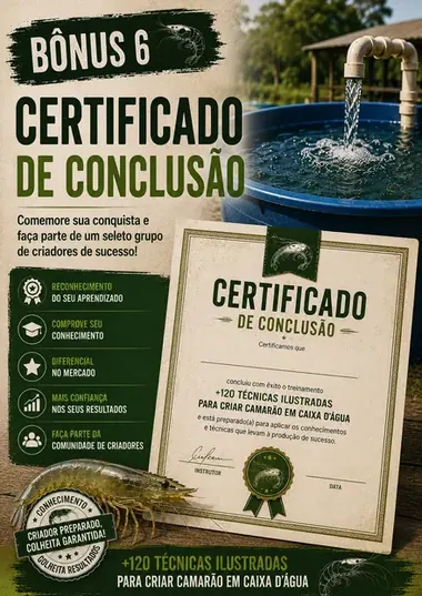Certificado de Conclusão