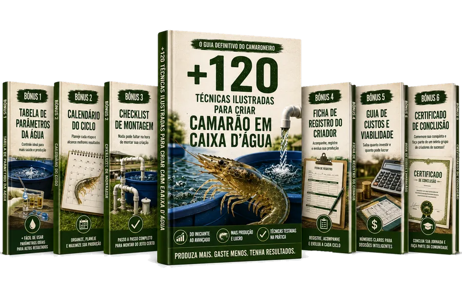 Plano Completo com os 6 bônus